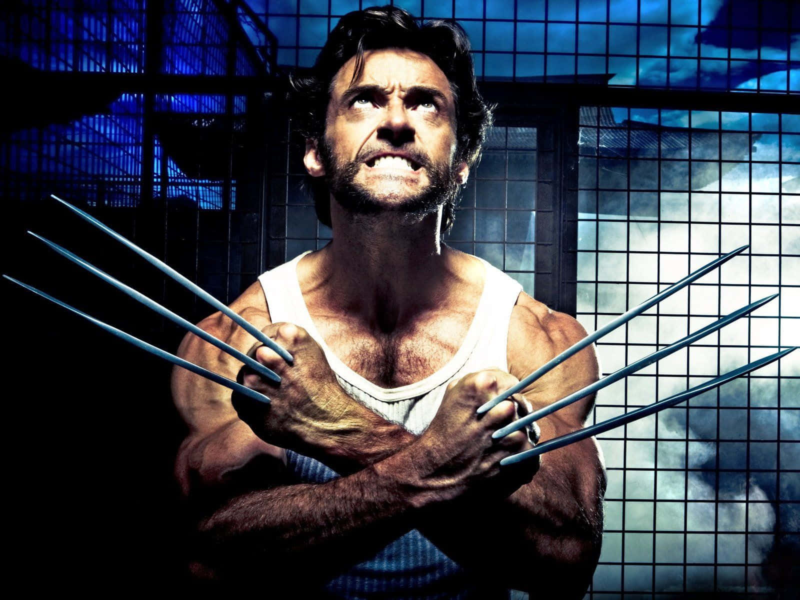 Adamantium, 1600 x 1200, blue grid backdrop, HD Desktop Wallpaper