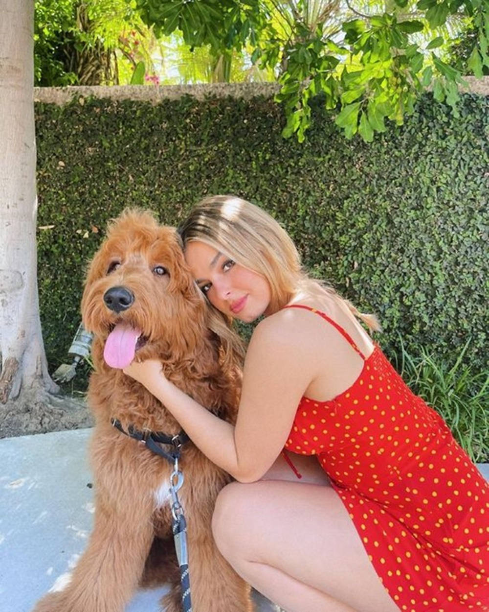 Addison Rae, goldendoodle, red polka dot dress, SD Phone Wallpaper