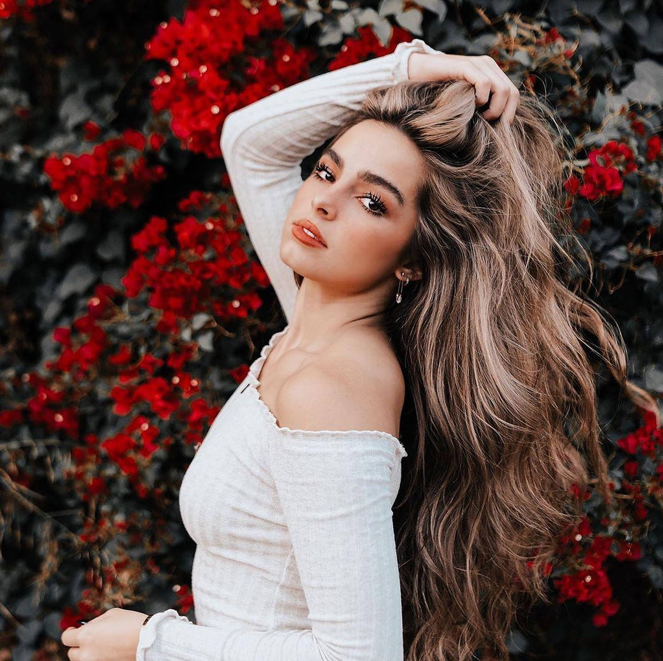 Addison Rae, red flowers, white off-shoulder top, Full HD Desktop Wallpaper