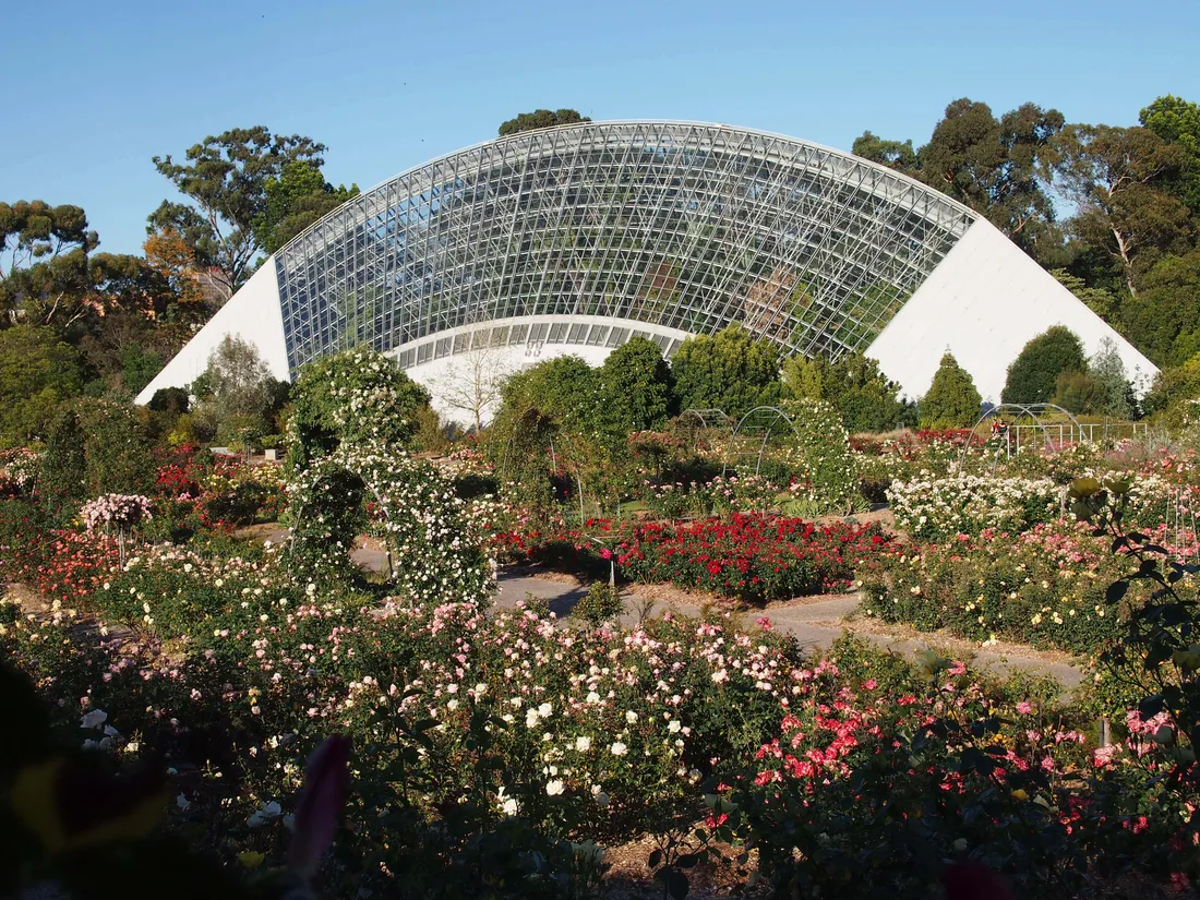 Adelaide Botanic Garden
