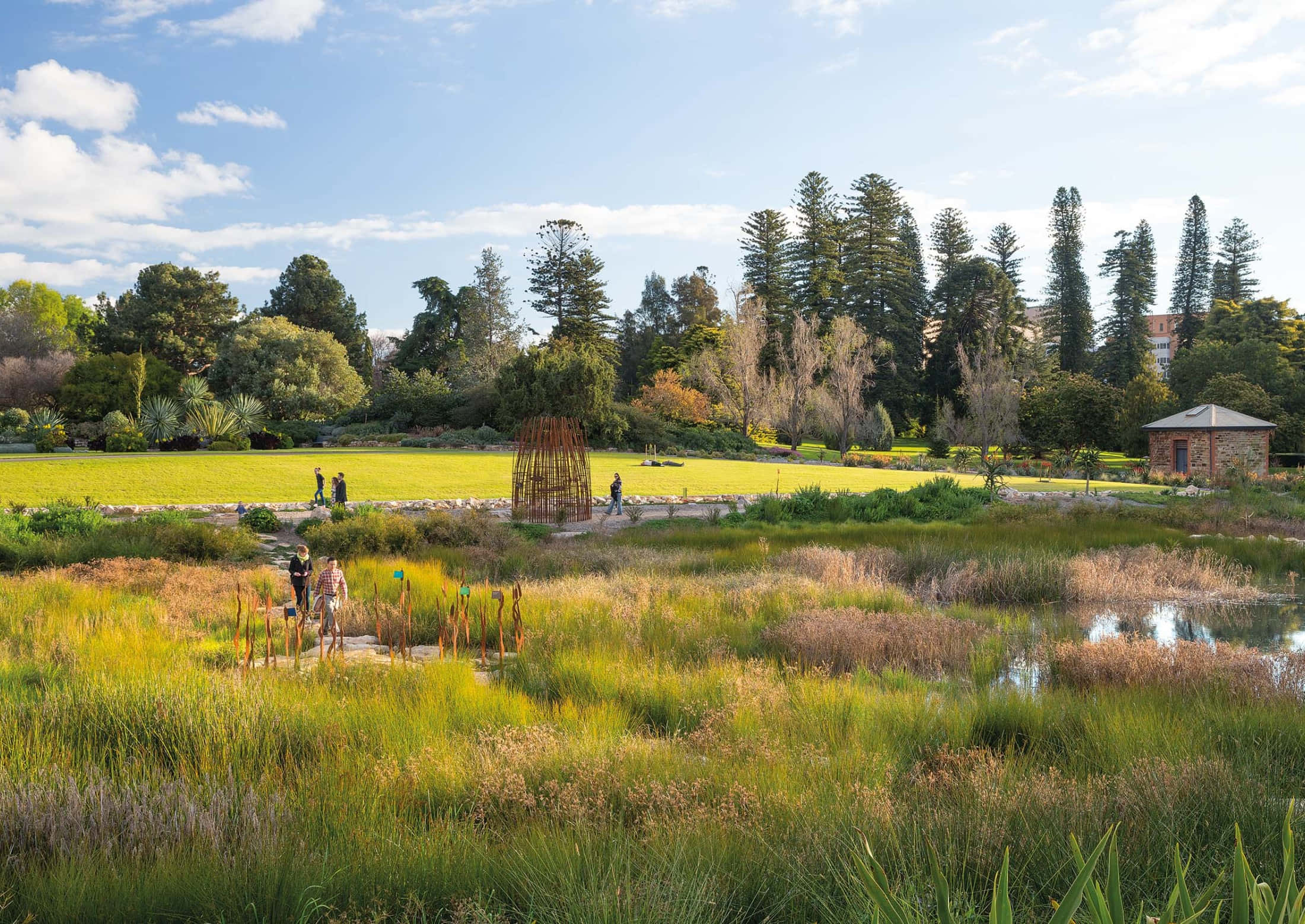 Adelaide Botanic Garden, Sunlit park, vibrant green lawns, Full HD Desktop Wallpaper