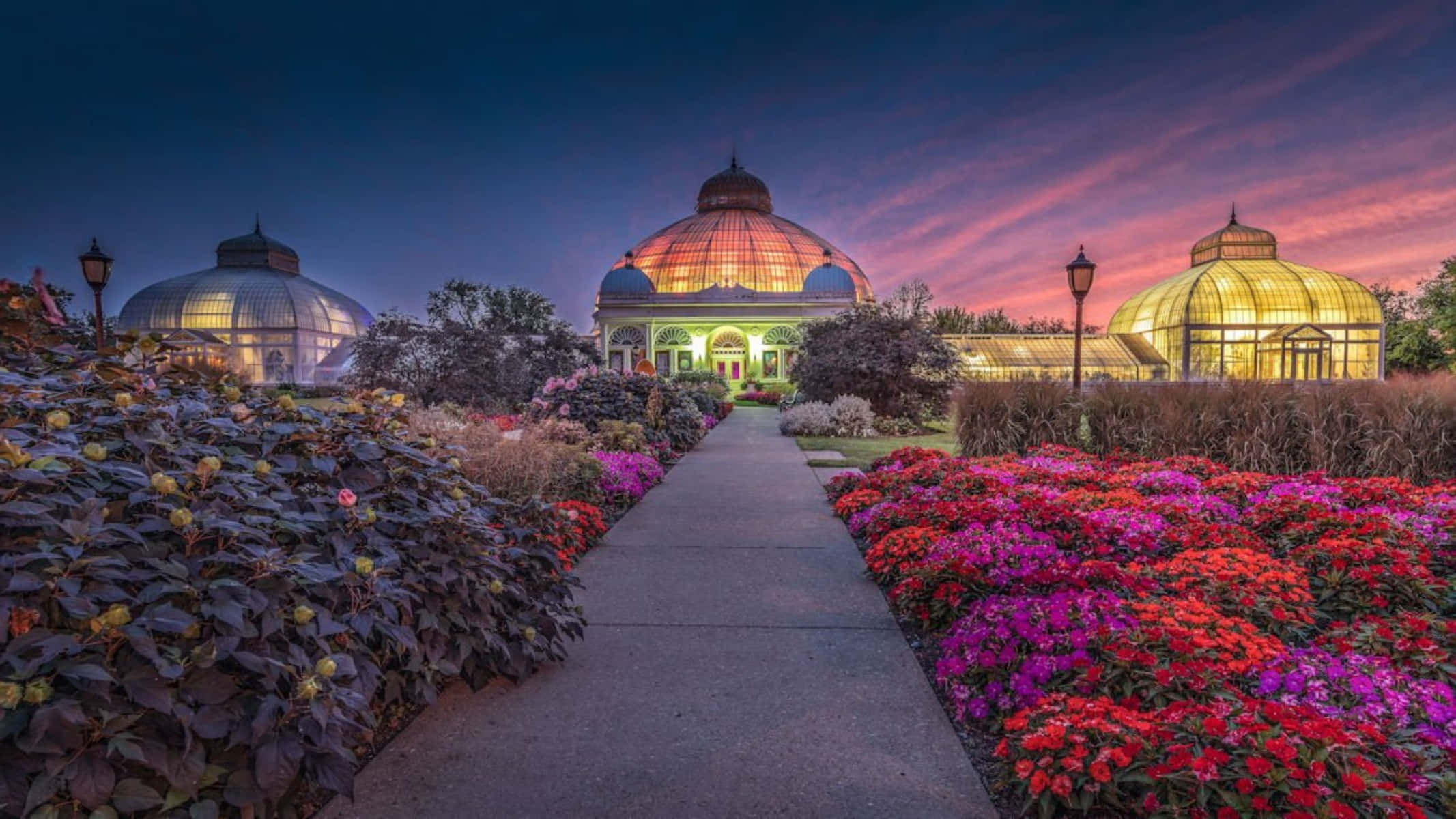 Adelaide Botanic Garden, dusk view, twilight pathway, Full HD Desktop Wallpaper