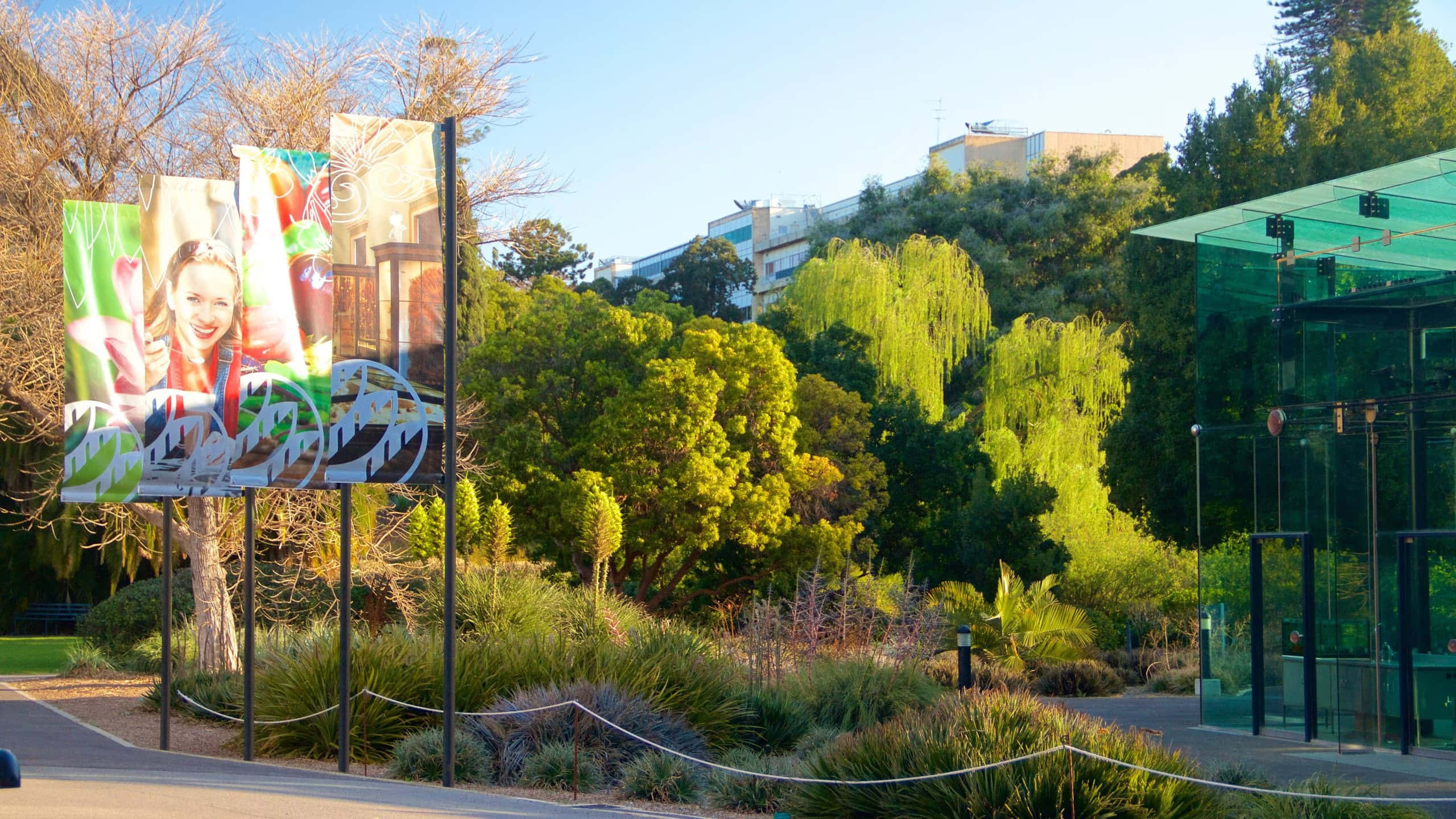 Adelaide Botanic Garden, entrance banner, sunlit garden path, 2K Desktop Wallpaper