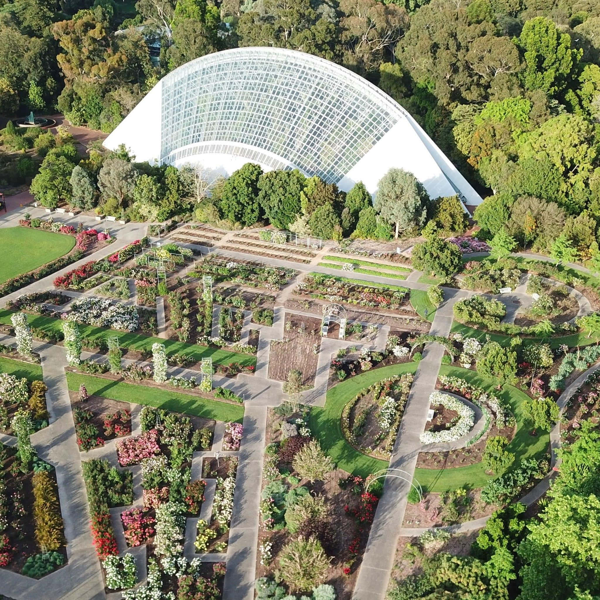 Adelaide Botanic Garden, glass-domed conservatory, lush green gardens, Full HD Desktop Wallpaper