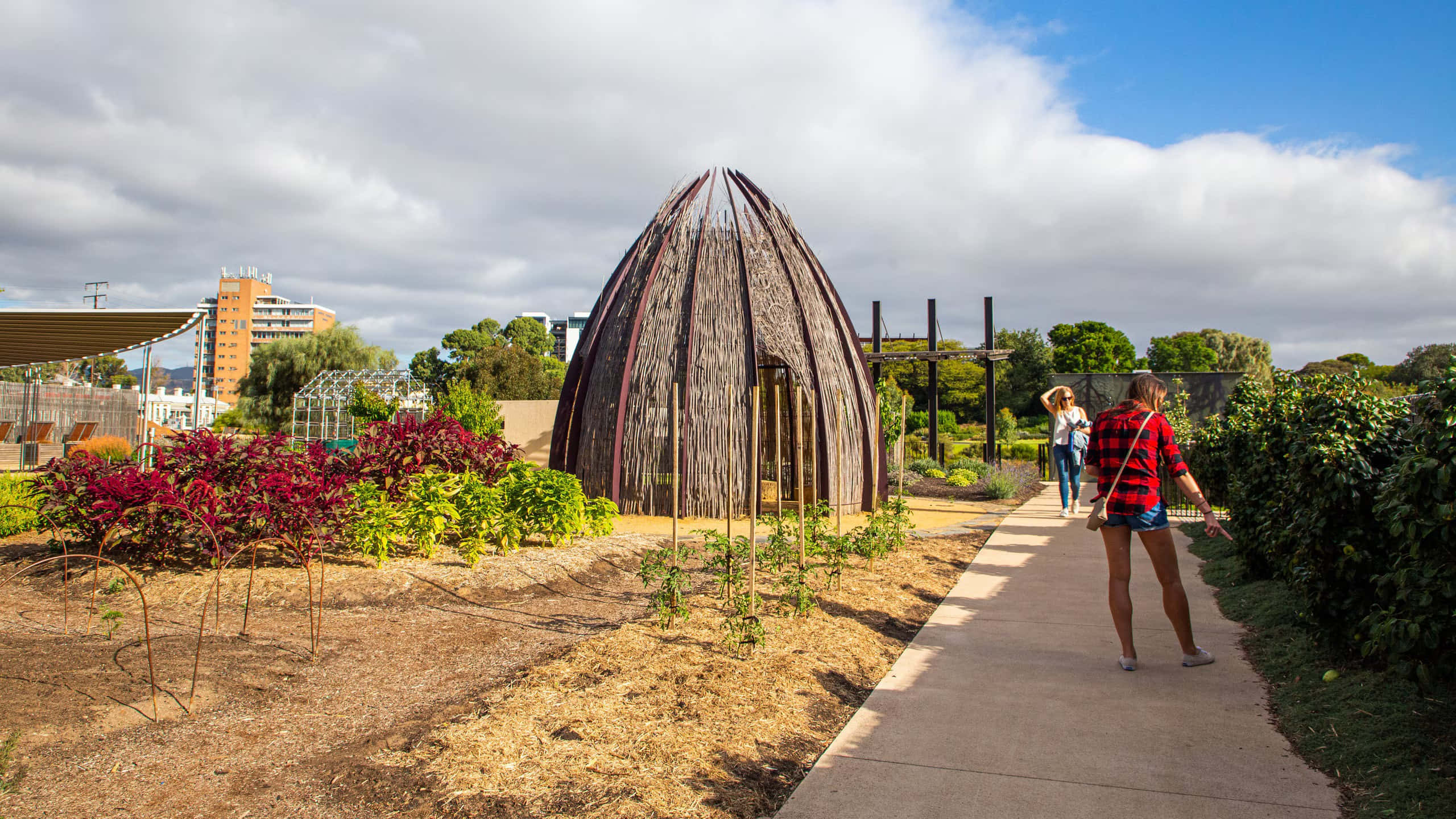 Adelaide Botanic Garden, pathway, thatched dome structure, 2K Desktop Wallpaper
