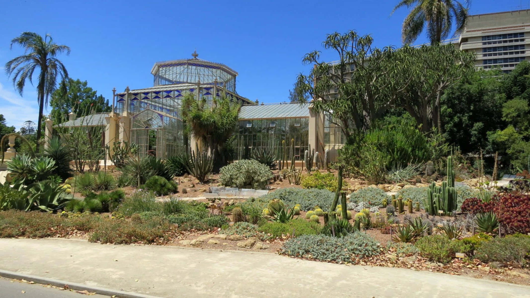 Adelaide Botanic Garden, glasshouse, cacti, Full HD Desktop Wallpaper