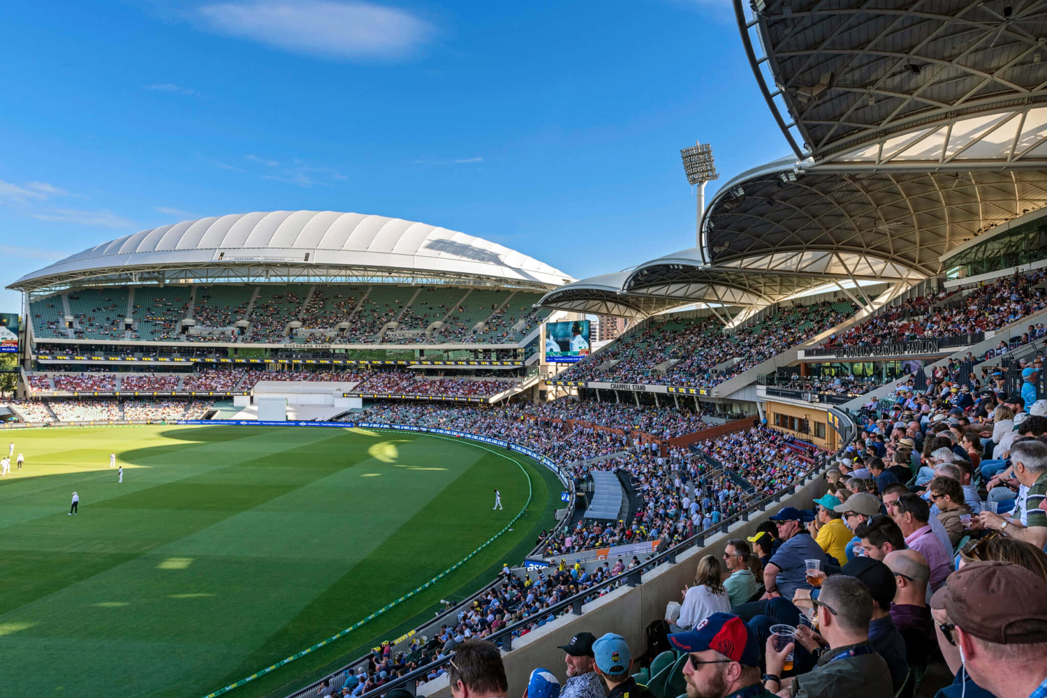 Adelaide Oval, cricket match, vibrant green field, Full HD Desktop Wallpaper
