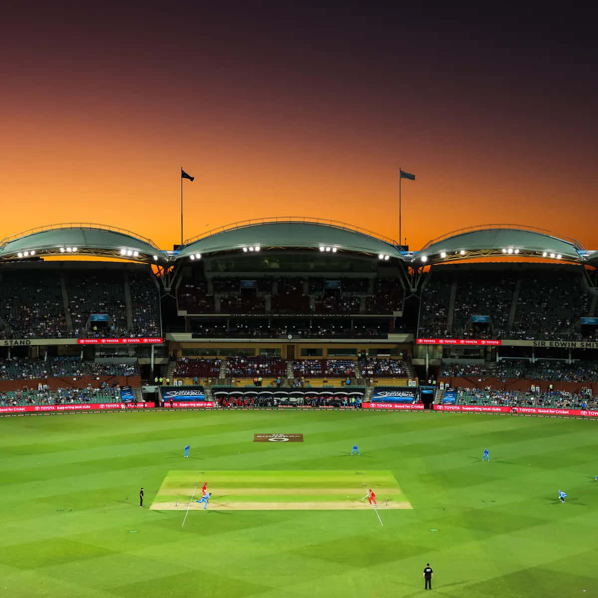 Adelaide Oval, sunset, cricket match, SD Desktop Wallpaper
