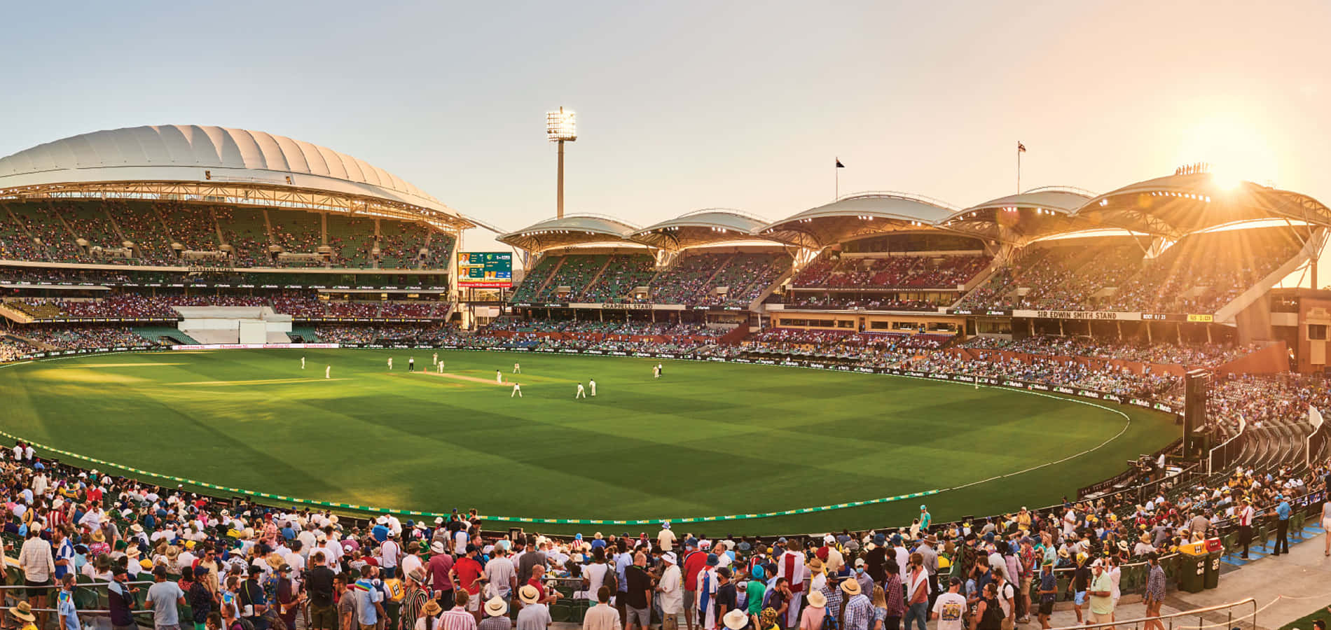 Adelaide Oval, cricket match, sunset, HD Desktop Wallpaper