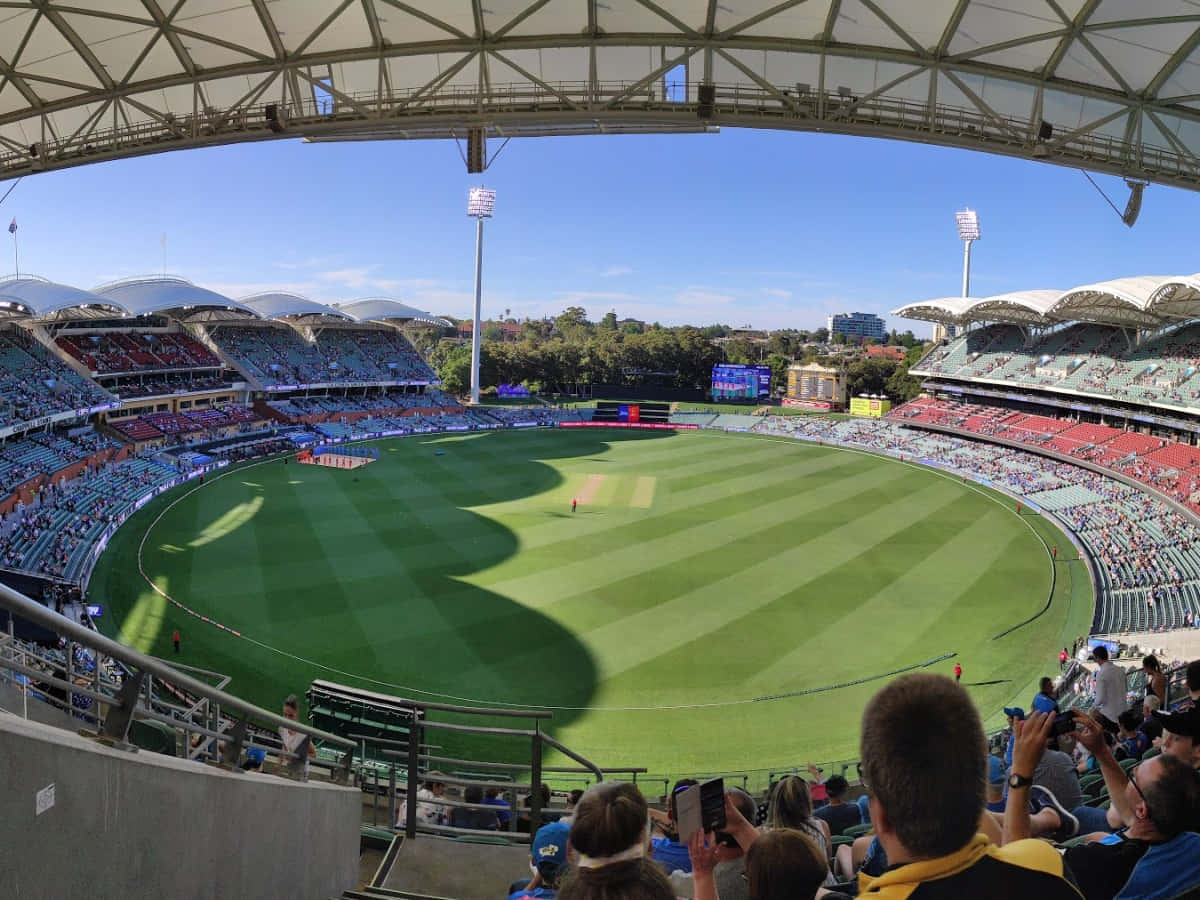 Adelaide Oval, cricket match, vibrant green pitch, SD Desktop Wallpaper