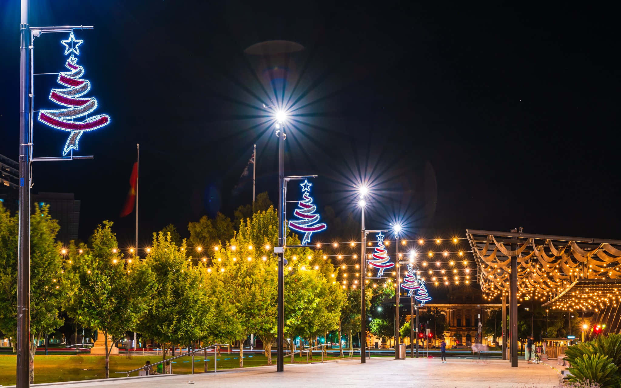 Adelaide Victoria Square, Christmas tree lights, string lights, Full HD Desktop Wallpaper