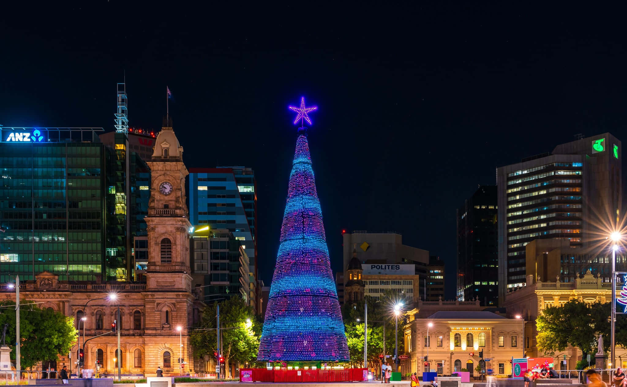 Adelaide Victoria Square, Christmas tree, blue and purple illuminated, Full HD Desktop Wallpaper