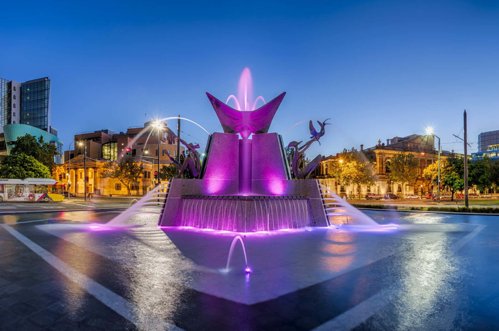 Adelaide Victoria Square, fountain, vibrant purple, HD Desktop Wallpaper