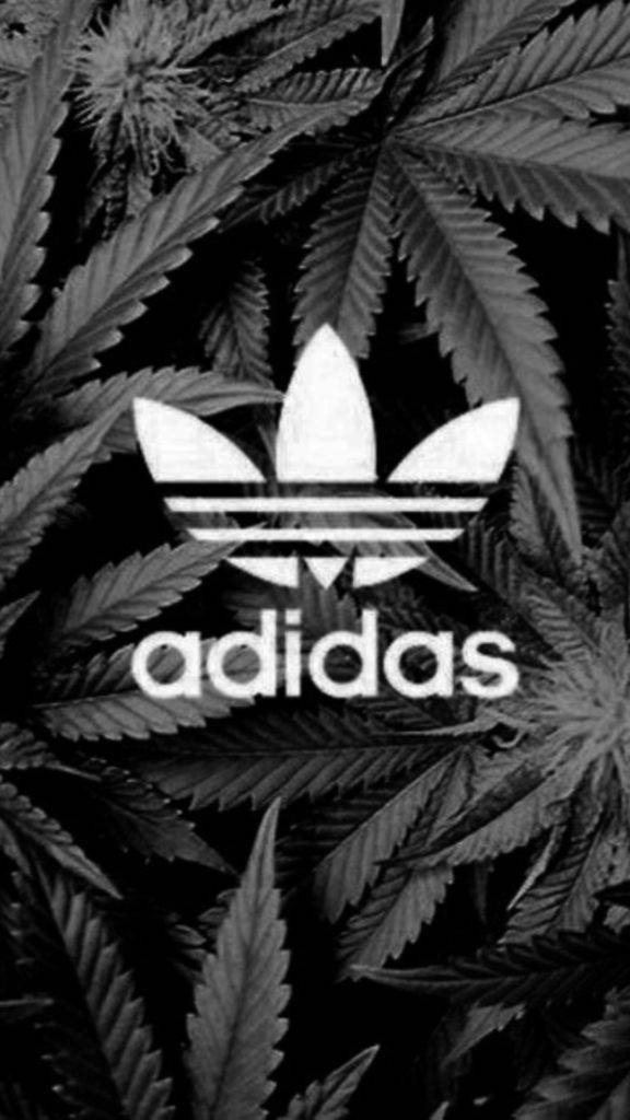 Adidas, cannabis bush, black and white, SD Phone Wallpaper