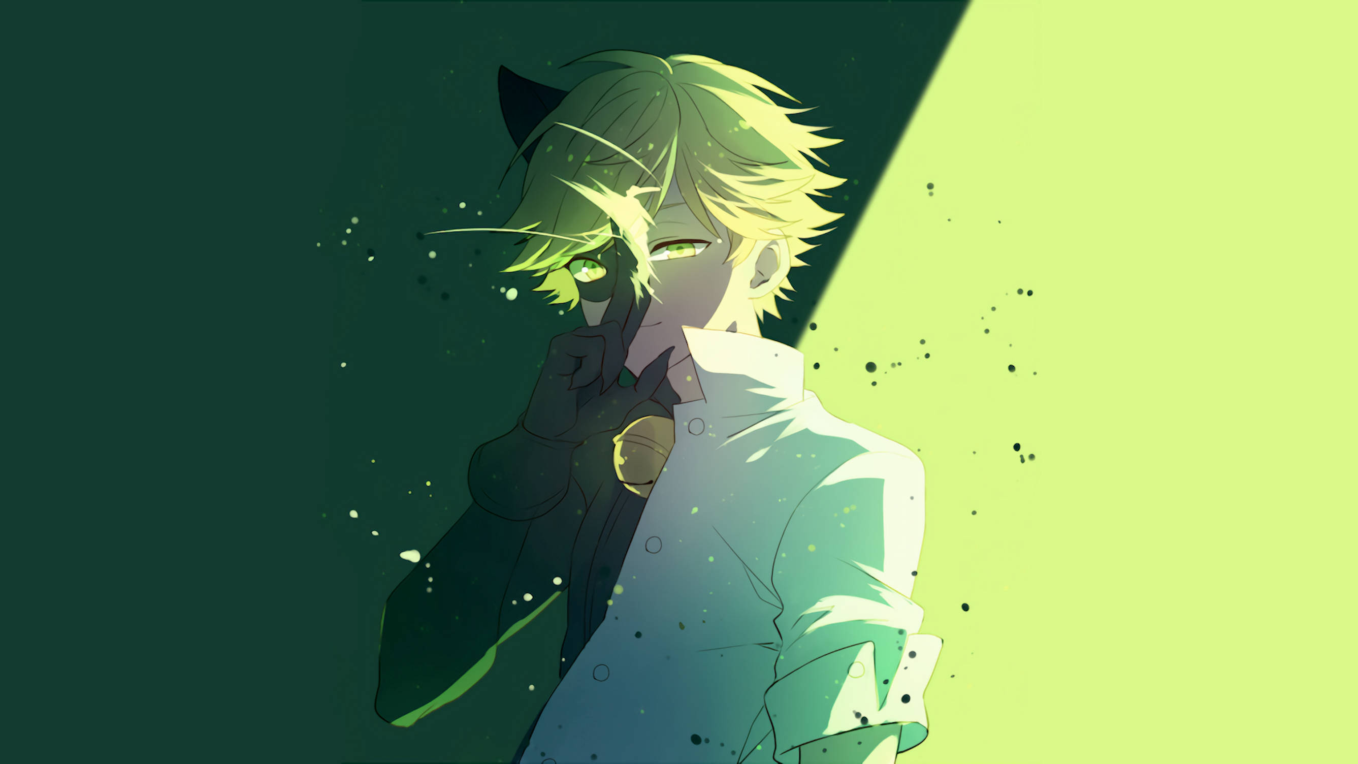 Adrien Agreste, cat ears, glowing eyes, 2K Desktop Wallpaper