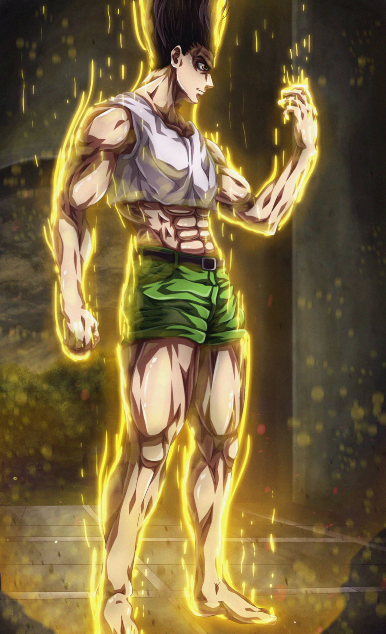 Adult Gon, golden energy, sparks, Full HD Phone Wallpaper