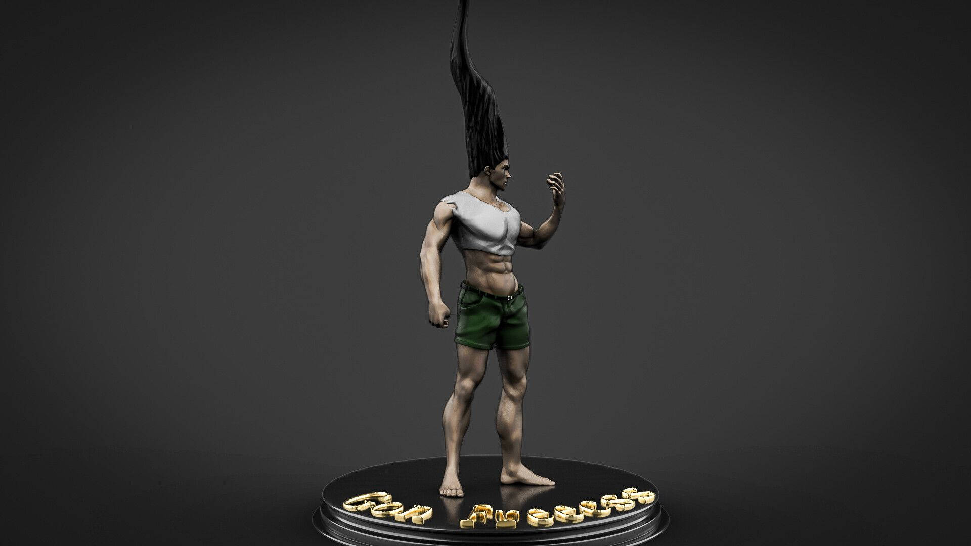 Adult Gon, 3D model, black hair strand, Full HD Desktop Wallpaper
