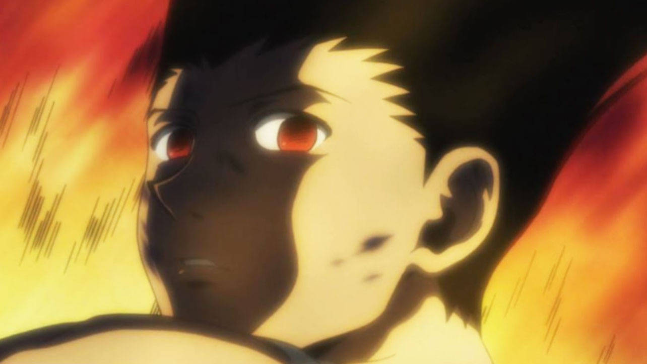 Adult Gon, reddish eyes, anime boy, HD Desktop Wallpaper