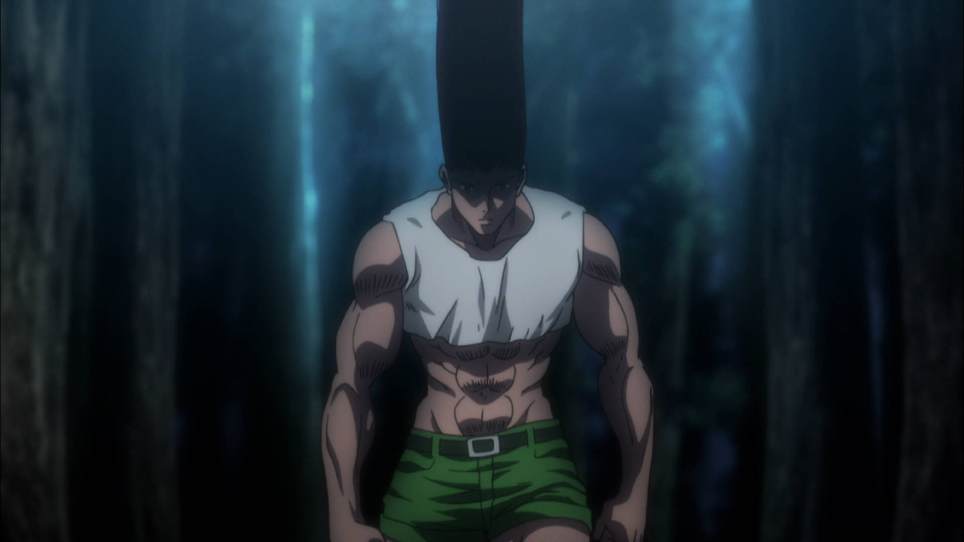 Adult Gon, tall black ponytail, dark forest, Full HD Desktop Wallpaper