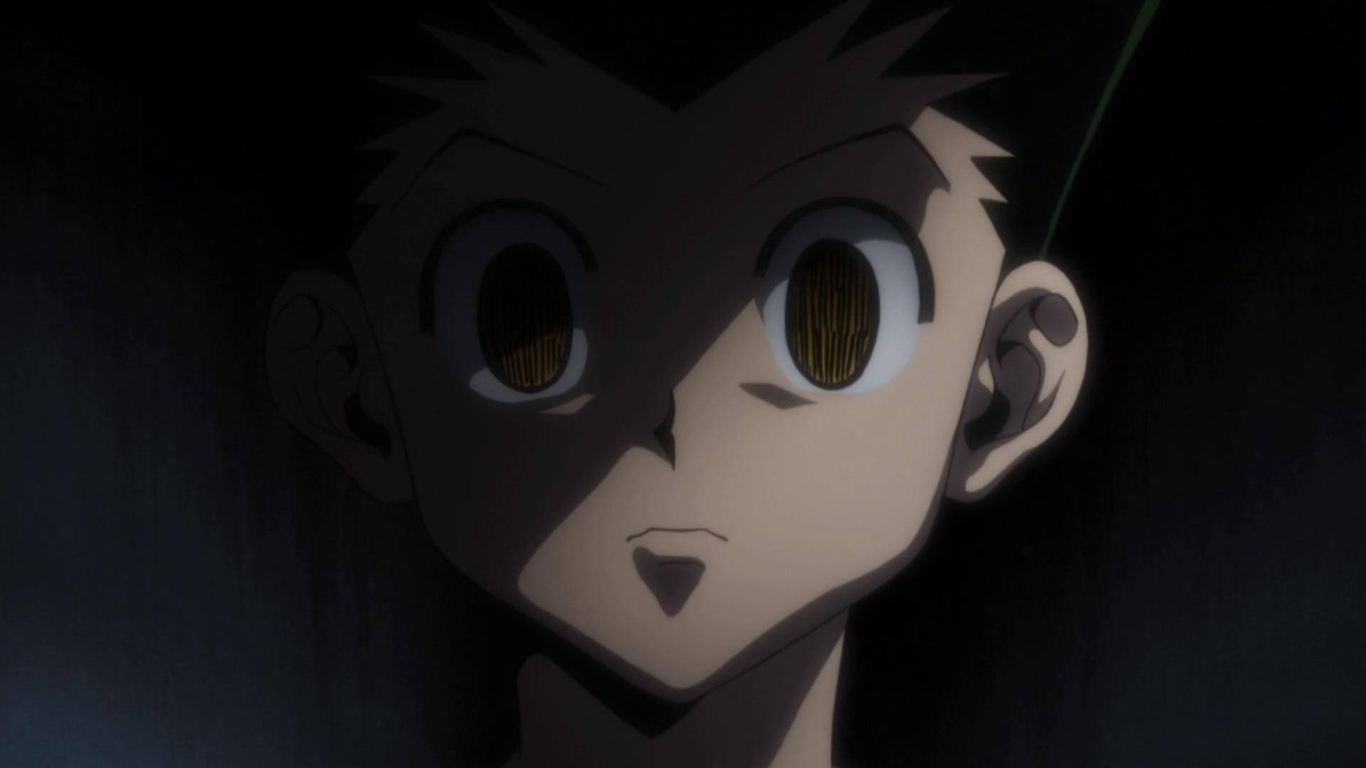 Dark Adult Gon, anime boy, wide eyes, Full HD Desktop Wallpaper