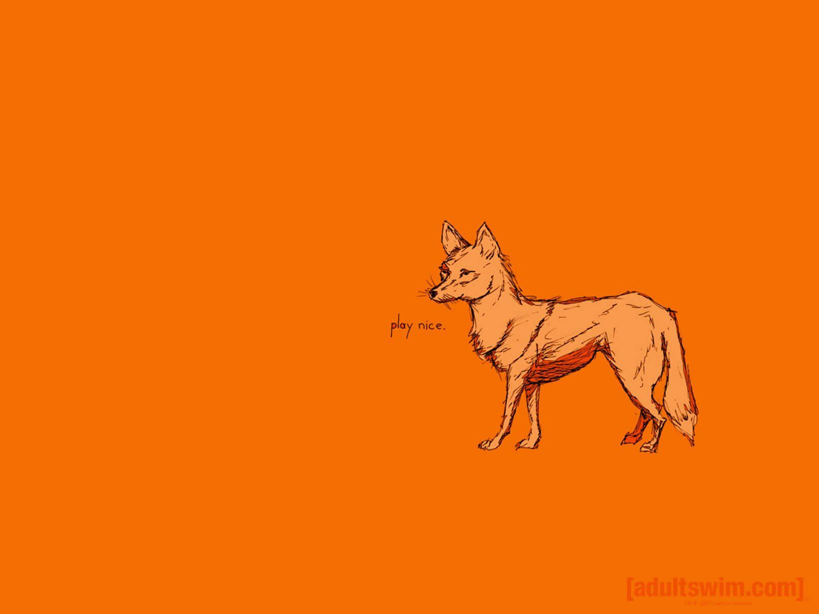 Adult Swim, fox, orange background, HD Desktop Wallpaper
