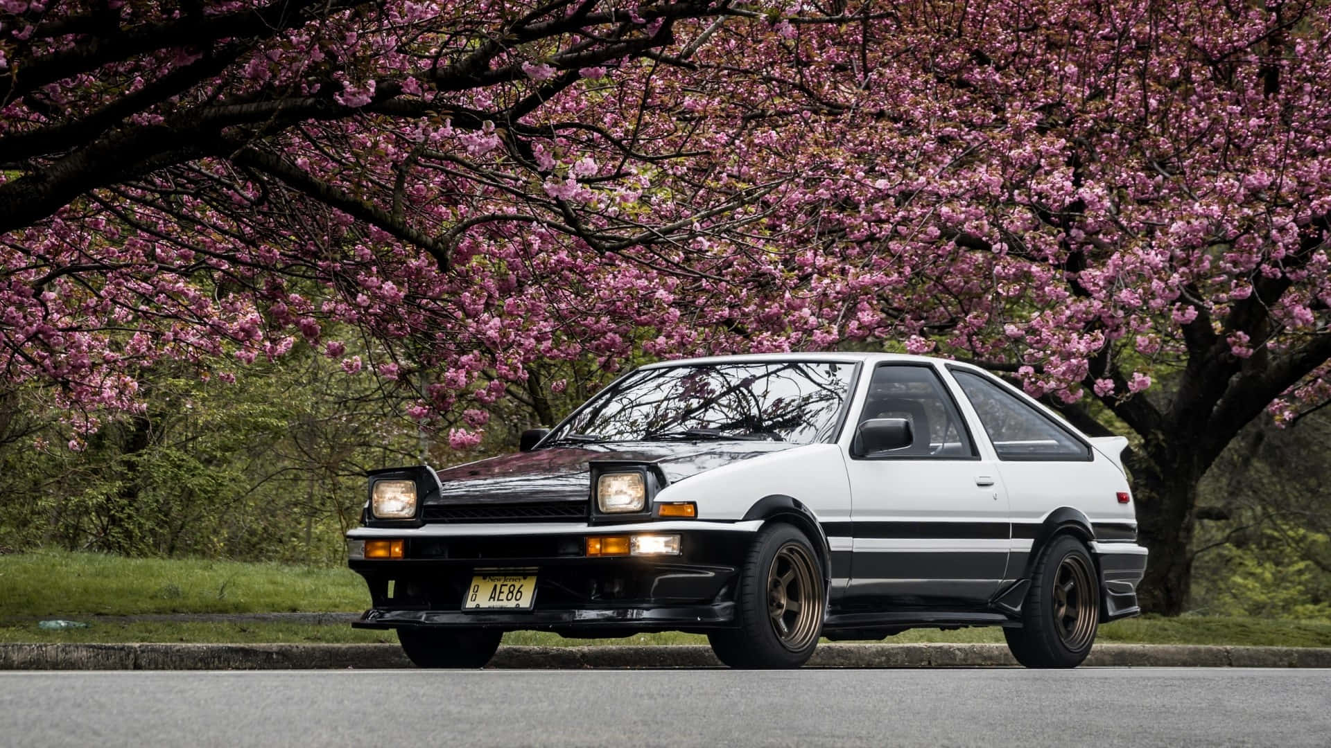 AE86, white, red stripes, Full HD Desktop Wallpaper