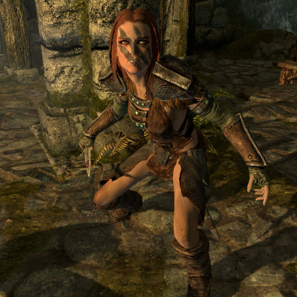 Aela The Huntress, full armor, mossy stone ruin, SD Desktop Wallpaper