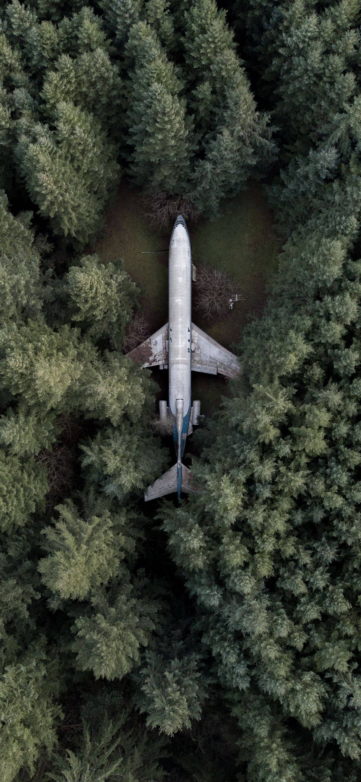 Aeroplane, silver, pine trees, Full HD Phone Wallpaper
