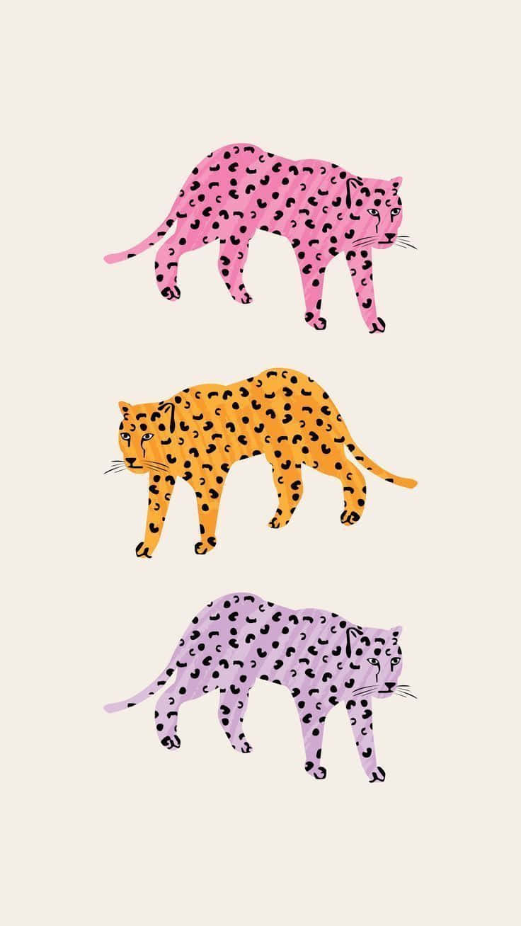 leopards, pink orange, lavender, HD Phone Wallpaper