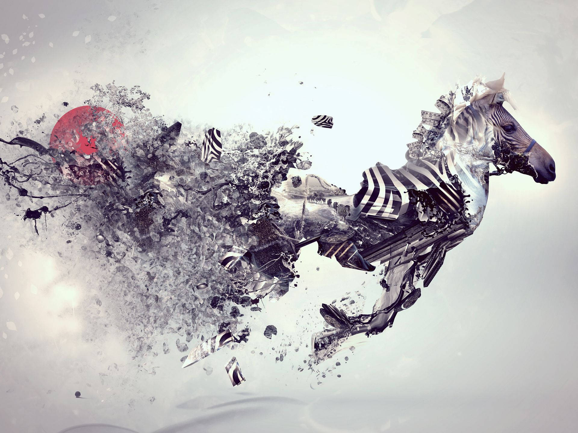 zebra, black and white shards, pale sky, Full HD Desktop Wallpaper