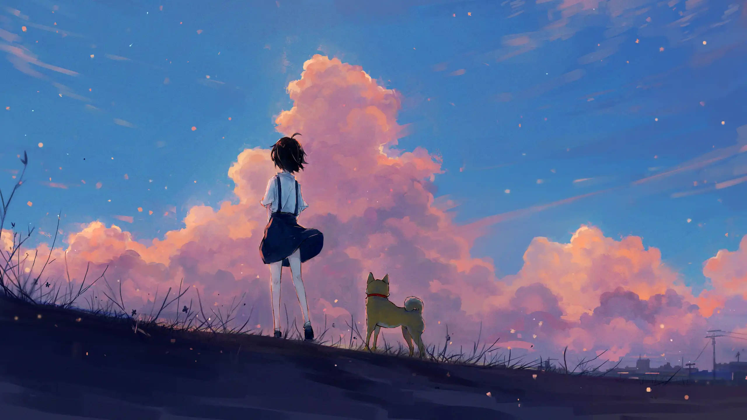 girl, dog, hill, 2K Desktop Wallpaper