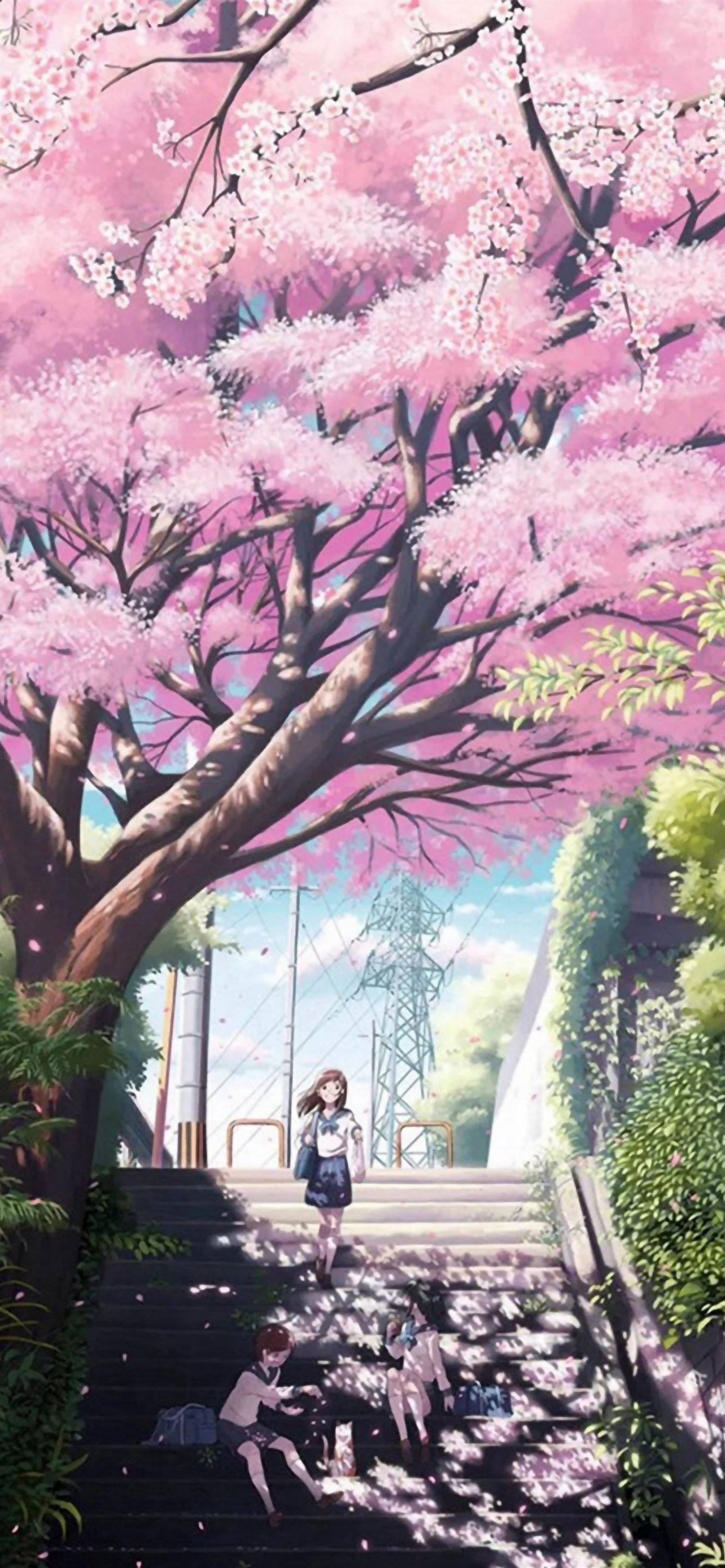 Dreamy Girl Aesthetic Anime, cherry blossom tree, pink petals, 2K Phone Wallpaper