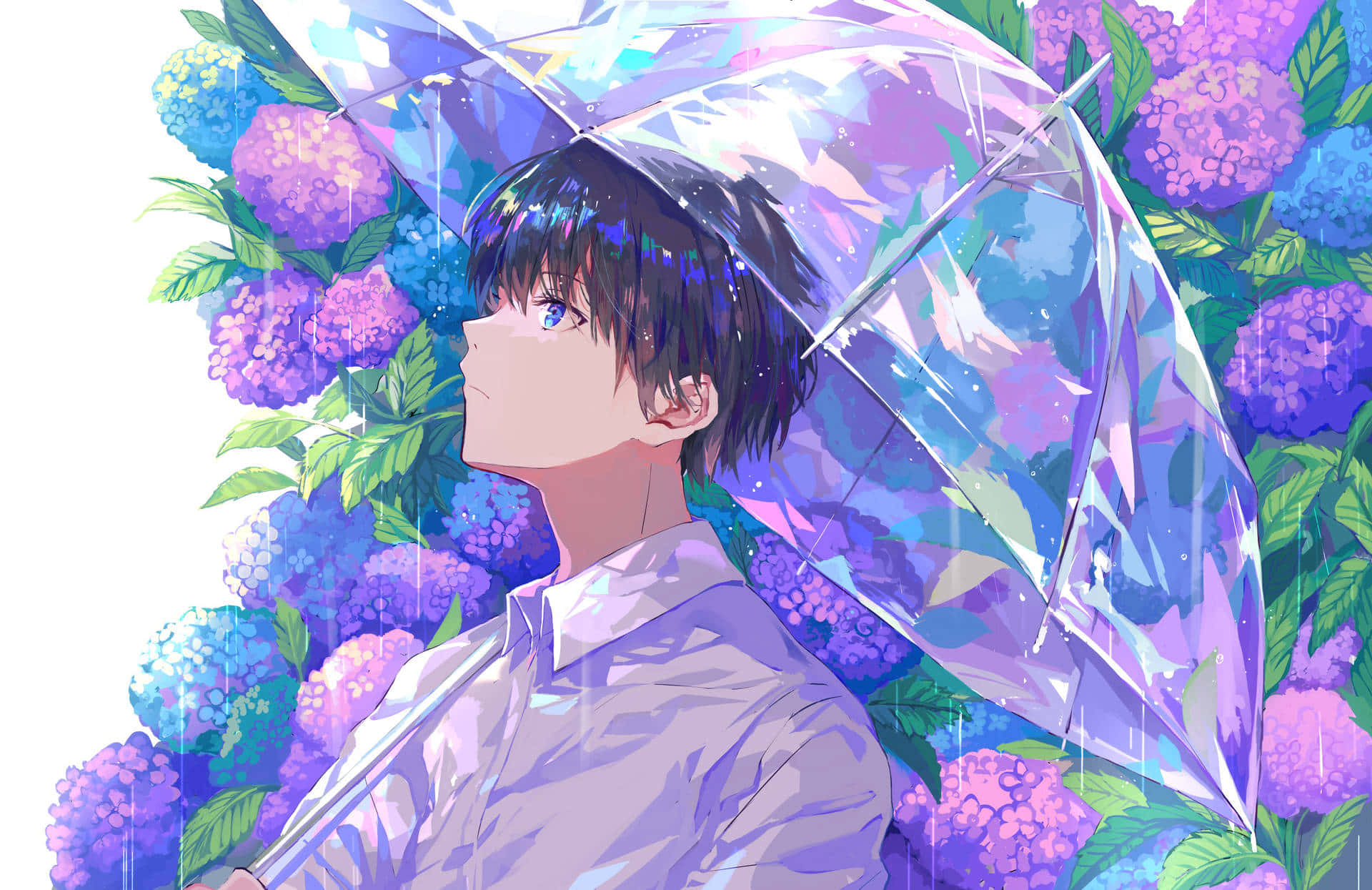 Aesthetic Anime Guy, young anime boy, transparent umbrella, Full HD Desktop Wallpaper