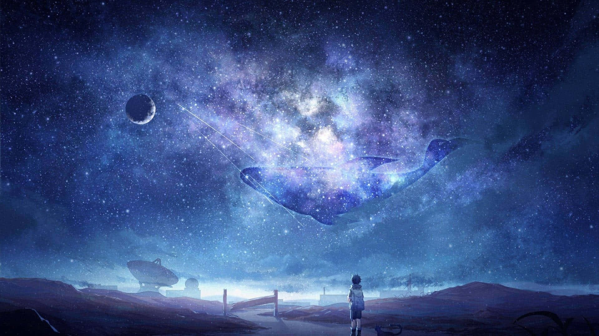 cosmic whale made of stars, starry night sky, lone figure, Full HD Desktop Wallpaper