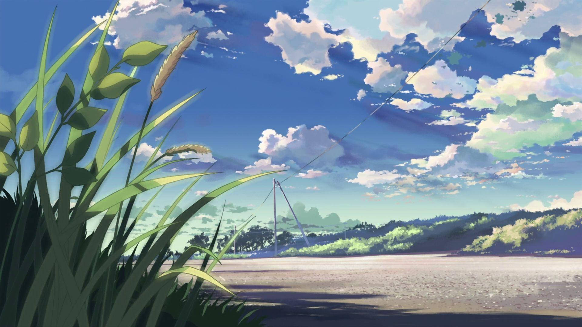 lakeside aesthetic anime scenery, tall green grass, vast blue sky, Full HD Desktop Wallpaper