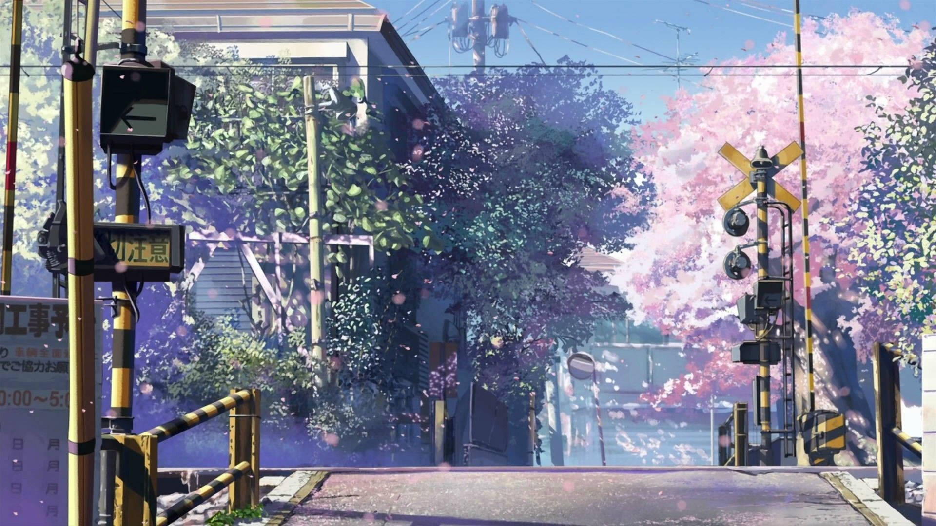 Street Crossing, cherry blossoms, railway crossing, Full HD Desktop Wallpaper