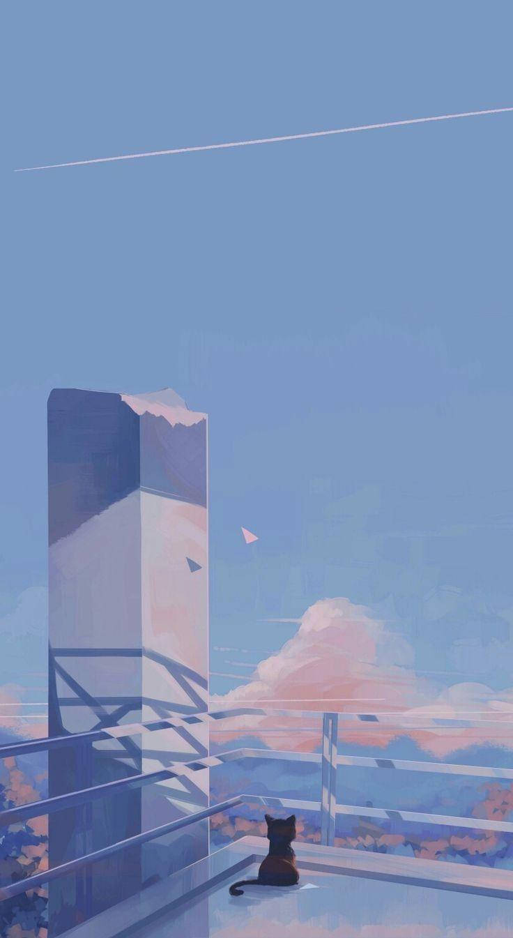 rooftop, black cat, pastel sky, HD Phone Wallpaper