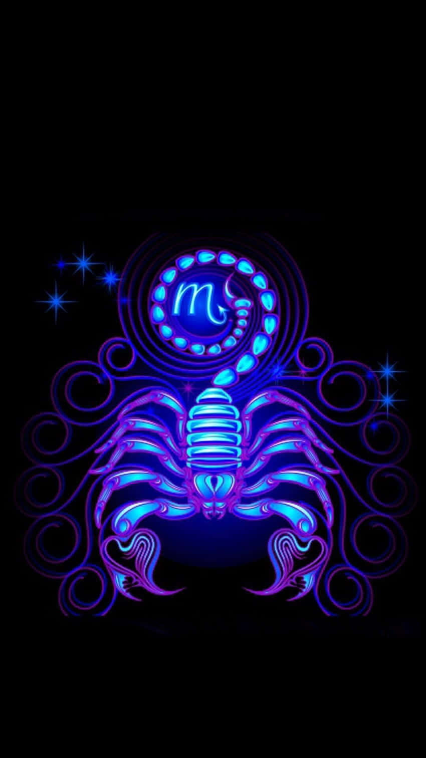 scorpion, neon blue, purple, HD Phone Wallpaper