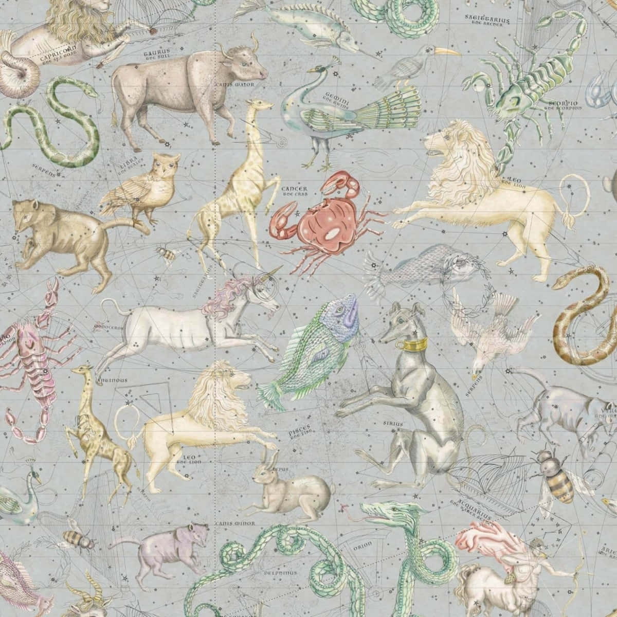 aesthetic astrology, zodiac constellations, pastel hues, SD Desktop Wallpaper