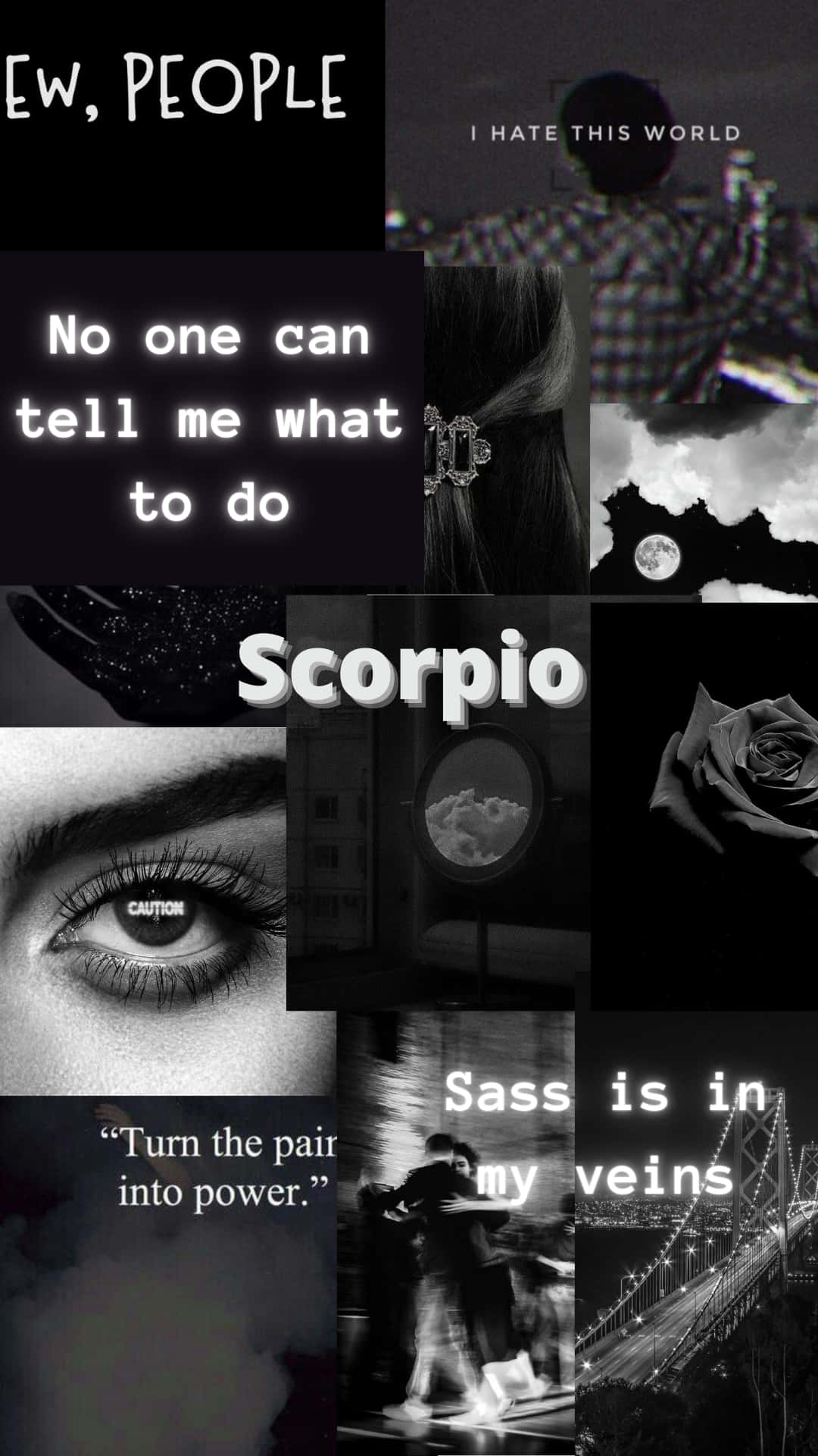 Aesthetic Astrology, zodiac-themed quotes, rose, Full HD Phone Wallpaper