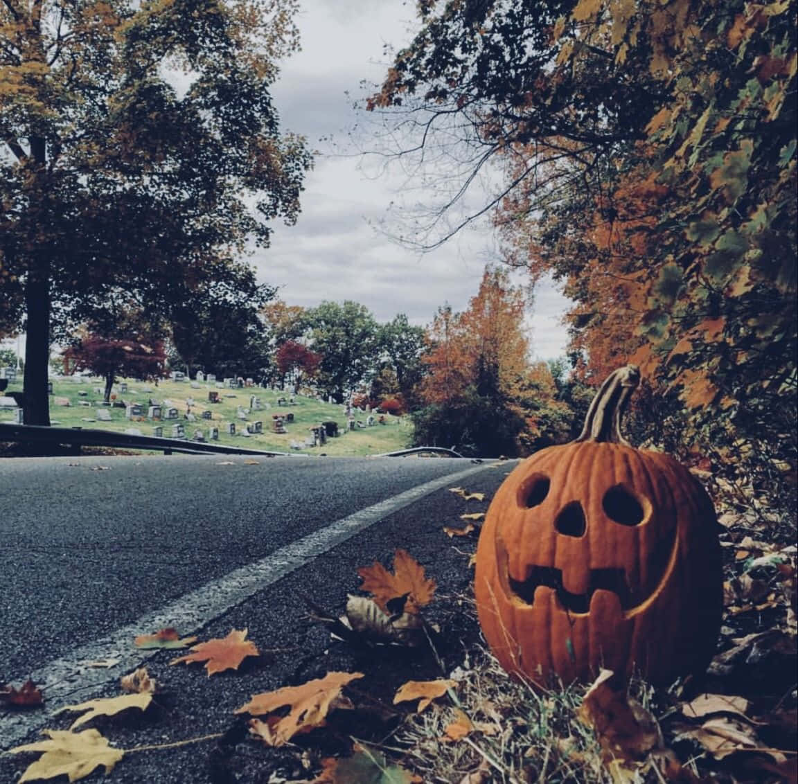jack-o'-lantern, autumn trees, falling leaves, SD Desktop Wallpaper