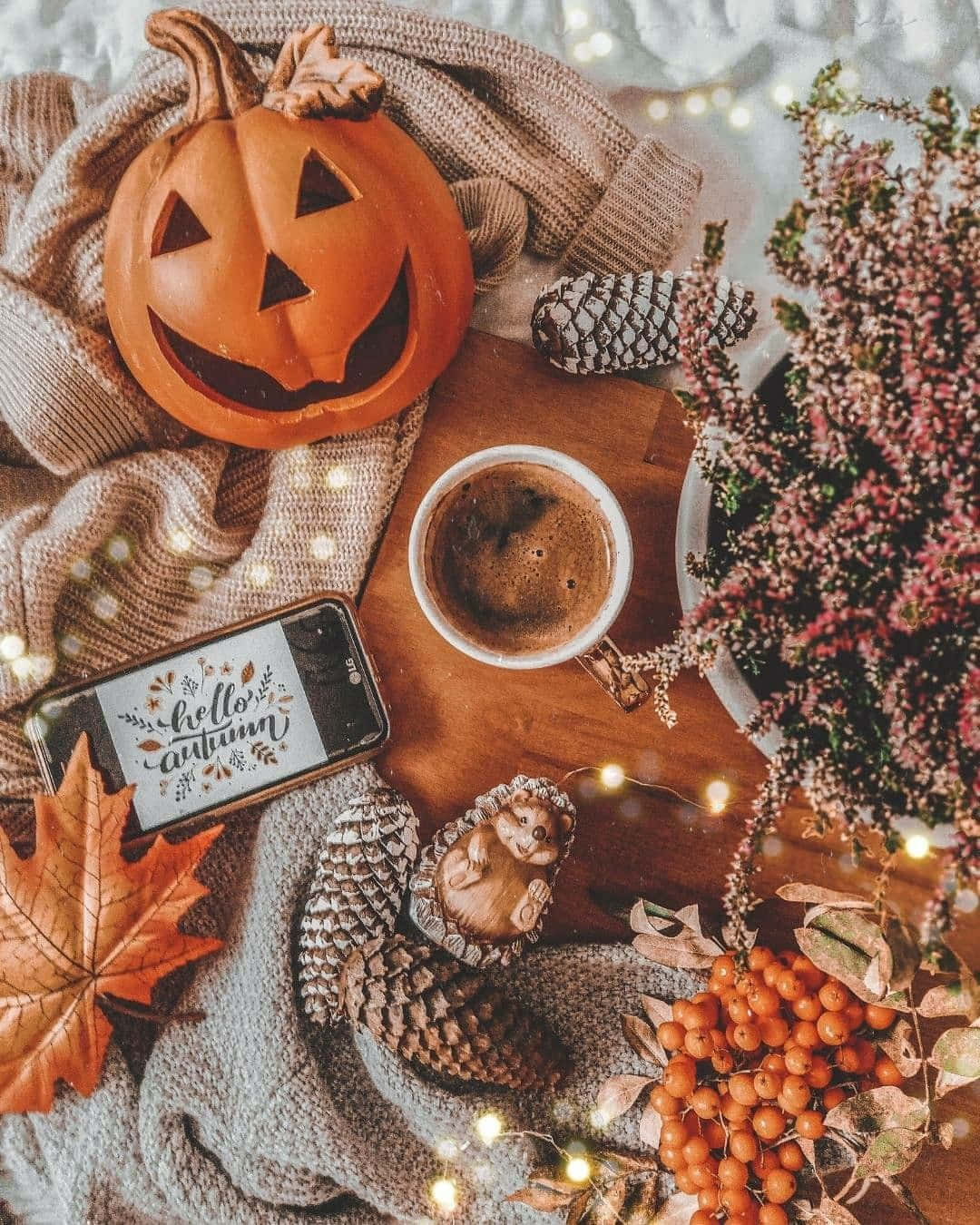 coffee cup, pumpkin, pinecones, HD Phone Wallpaper