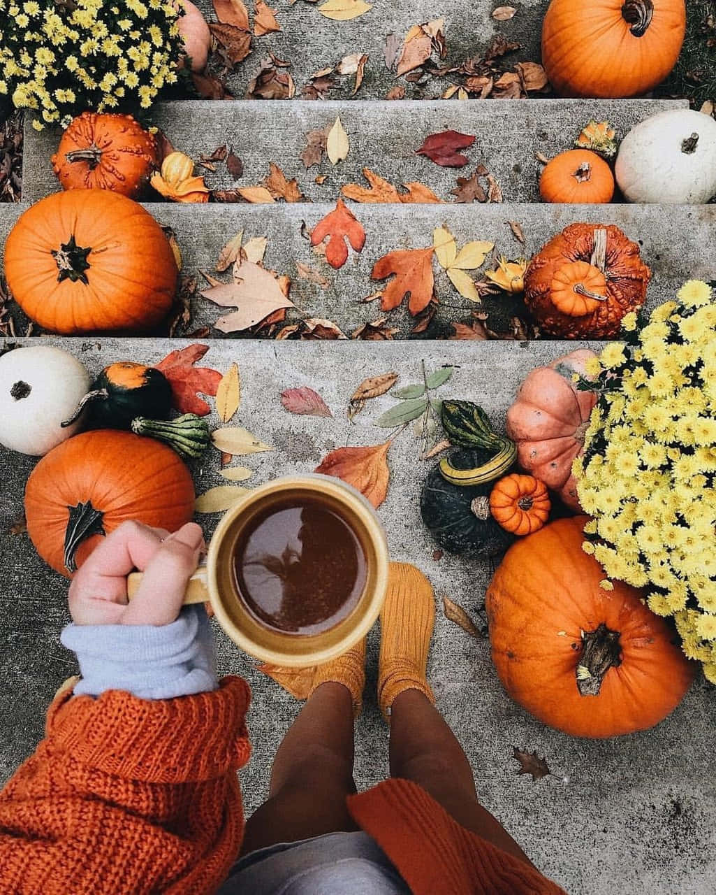 Aesthetic Autumn Halloween, cup of cocoa, cozy sweaters, HD Phone Wallpaper