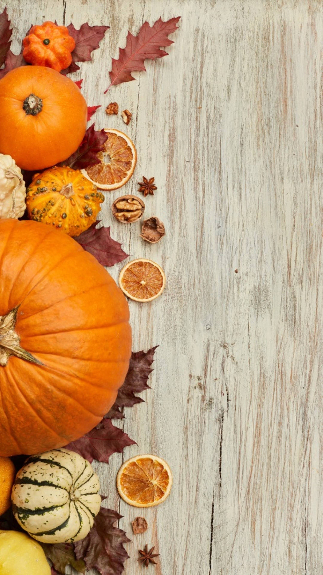 Fall Season Halloween Aesthetic, vibrant orange pumpkins, dried citrus slices, Full HD Phone Wallpaper