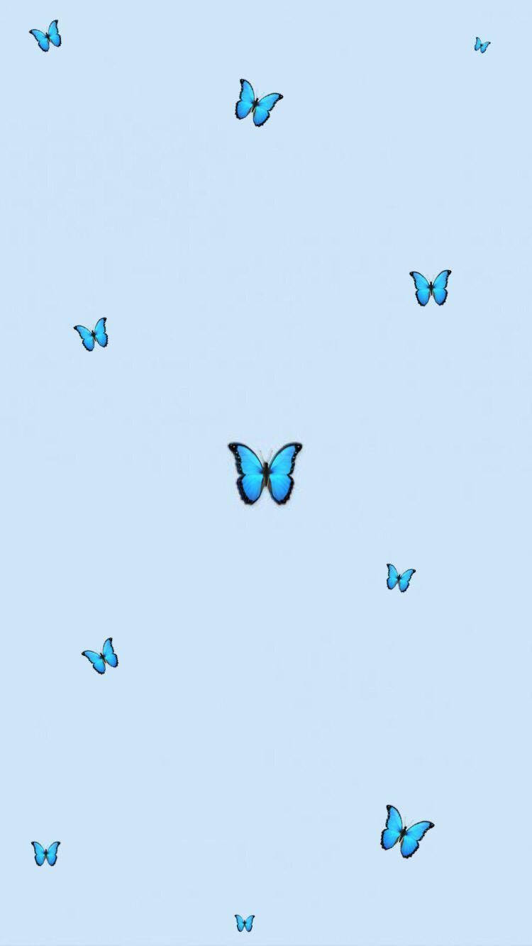 Aesthetic Baby Blue Butterflies, blue butterflies, soft pastel sky, HD Phone Wallpaper