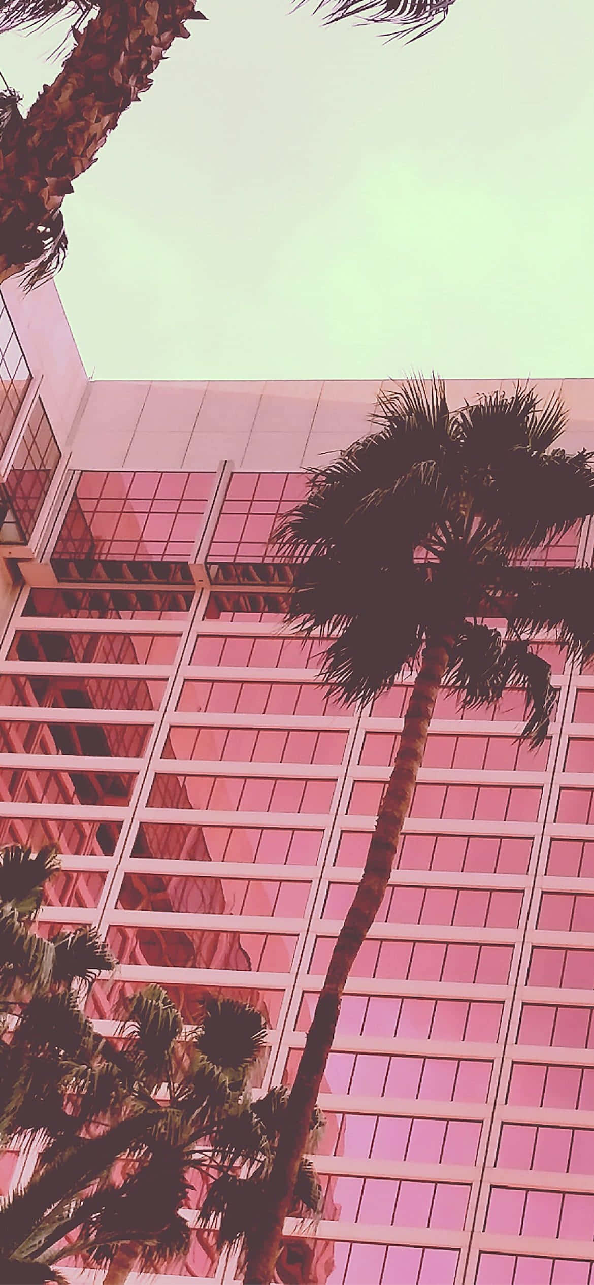 Aesthetic Baby Pink, palm trees, modern glass building, Full HD Phone Wallpaper