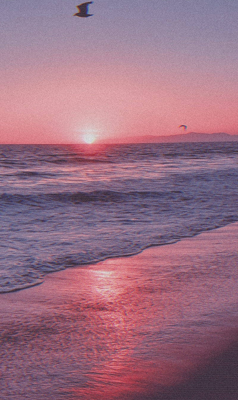 Aesthetic Beach, pink sunset, ocean, HD Phone Wallpaper