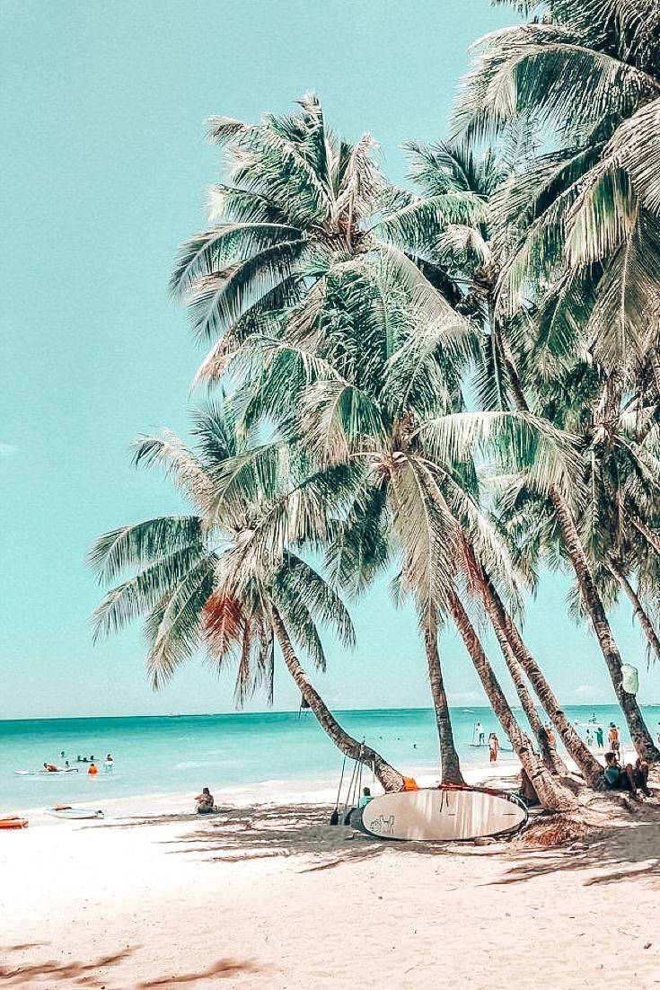 aesthetic beach, palm trees, white sand, SD Phone Wallpaper