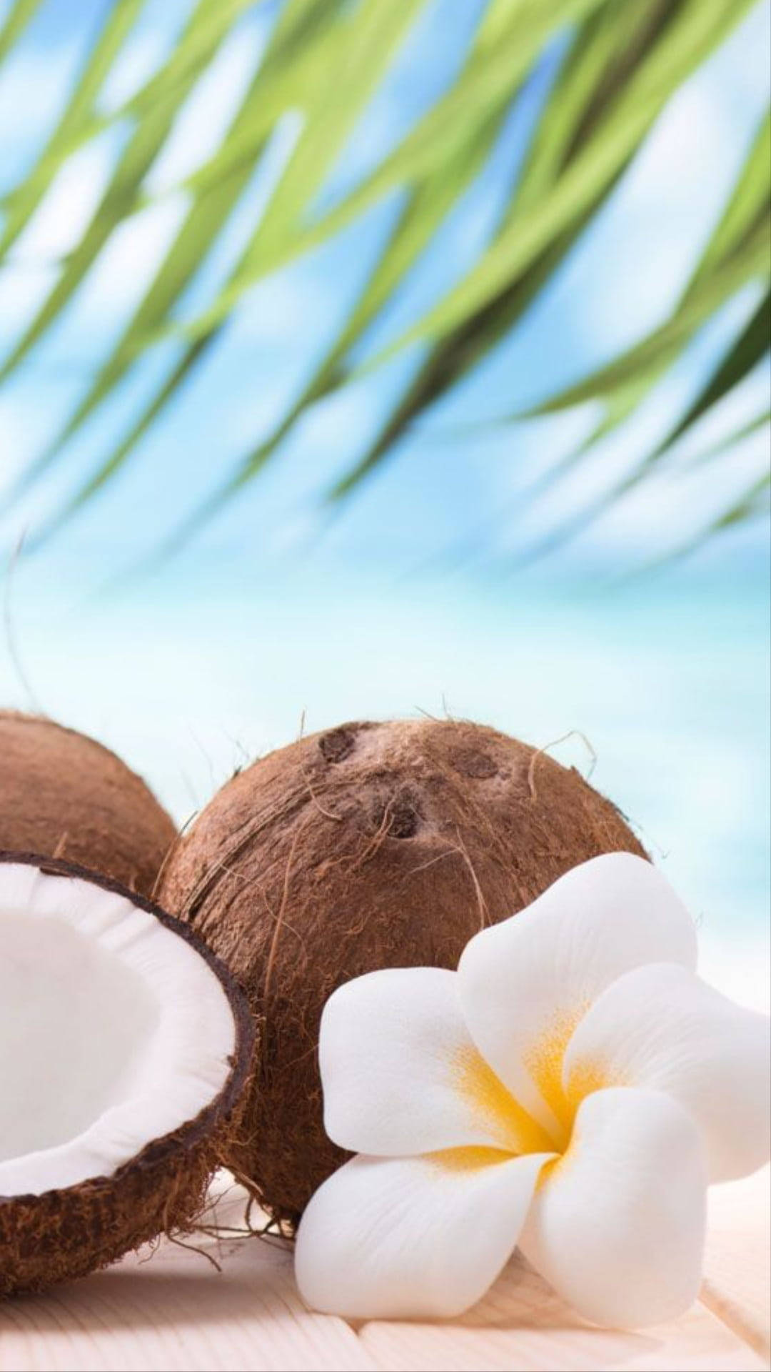 coconut fruits, white plumeria flower, wood, Full HD Phone Wallpaper