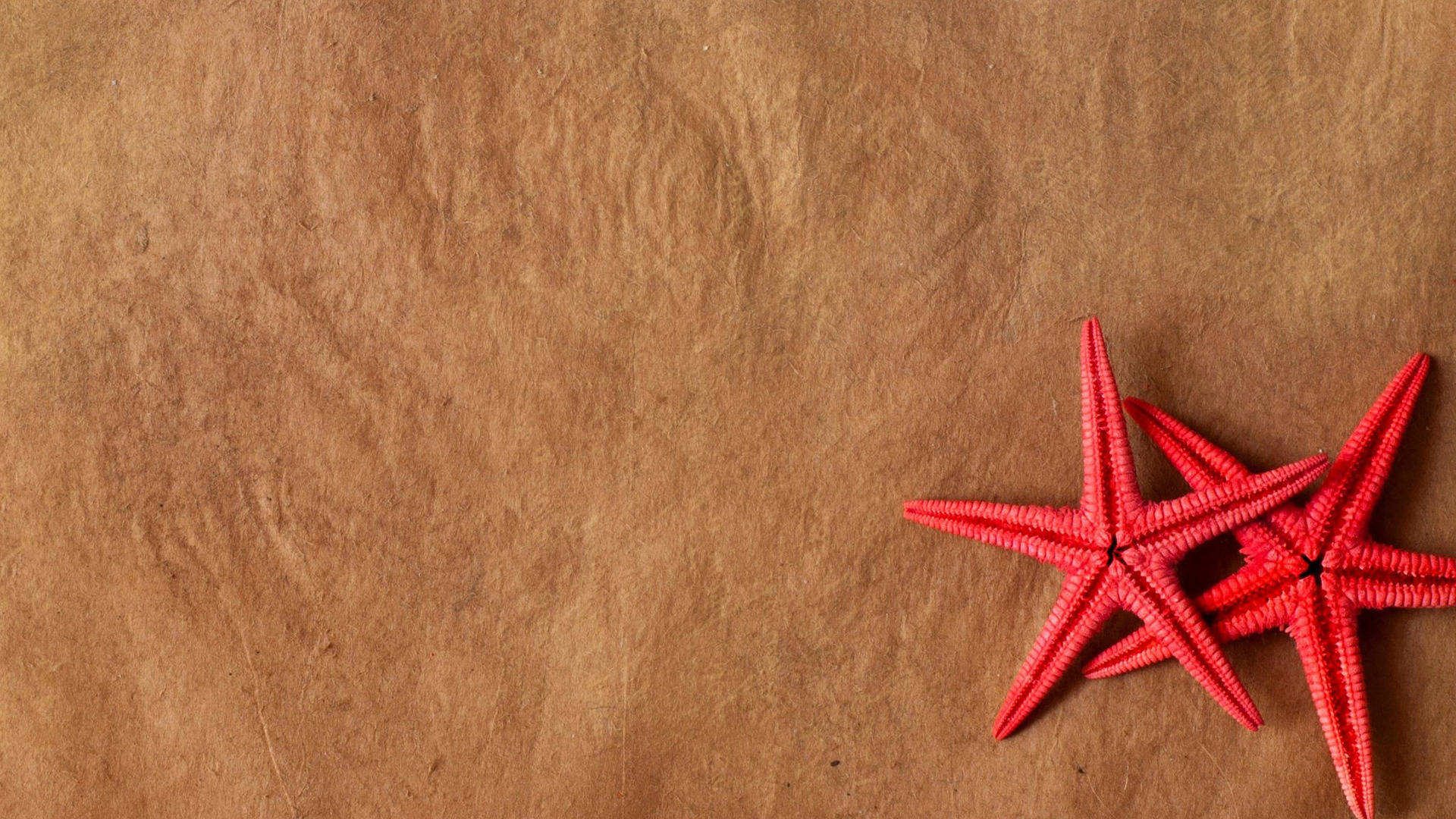 two red starfish, textured brown paper surface, minimalist, Full HD Desktop Wallpaper